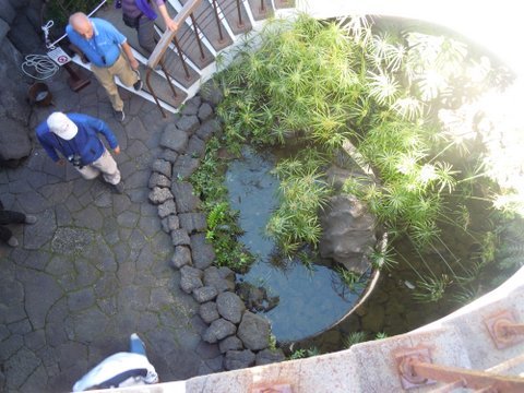 DSCN2254.JPG