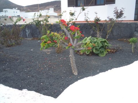 DSCN2261.JPG