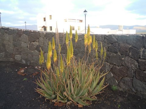 DSCN2267.JPG