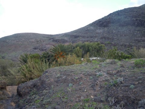 DSCN2274.JPG