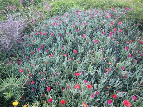 DSCN2278.JPG