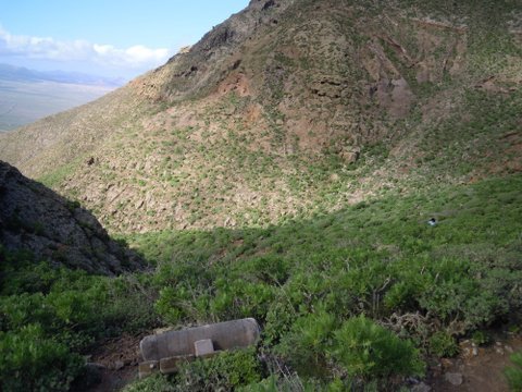 DSCN2286.JPG