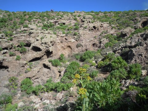 DSCN2291.JPG