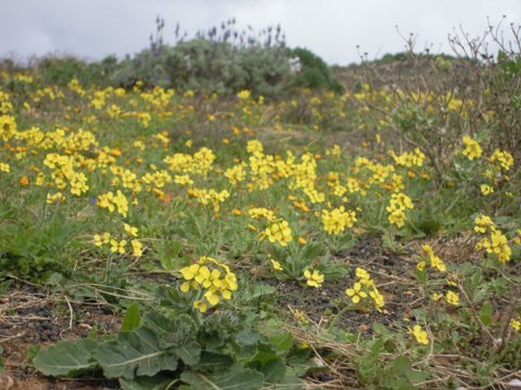 DSCN2311.JPG