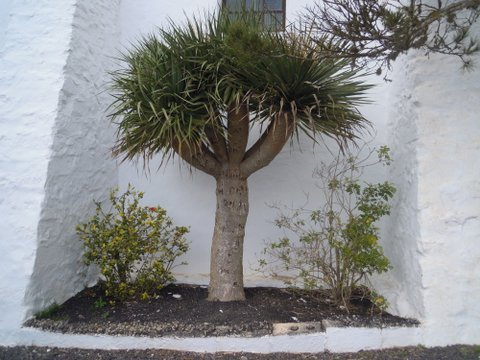 DSCN2325.JPG