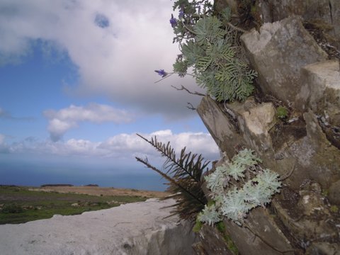 DSCN2326.JPG
