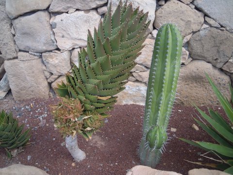 DSCN2406.JPG