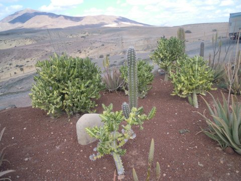 DSCN2408.JPG