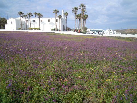 DSCN2501.JPG