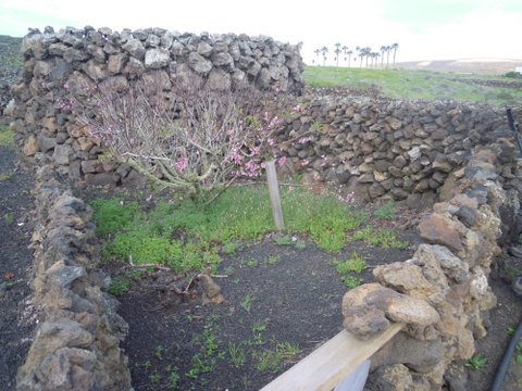 DSCN2504.JPG