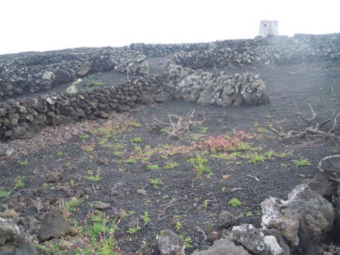 DSCN2506.JPG