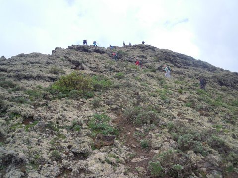 DSCN2513.JPG