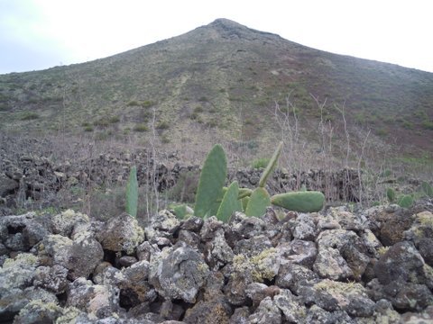 DSCN2518.JPG