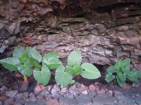 DSCN2524.JPG