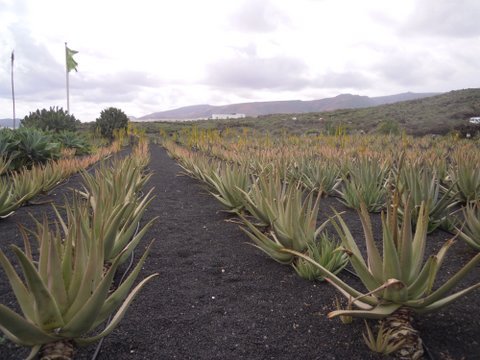 DSCN2532.JPG