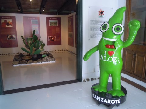 DSCN2534.JPG