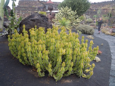 DSCN2538.JPG