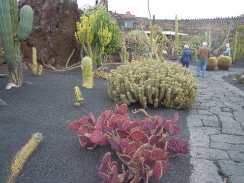DSCN2539.JPG