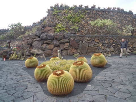 DSCN2541.JPG