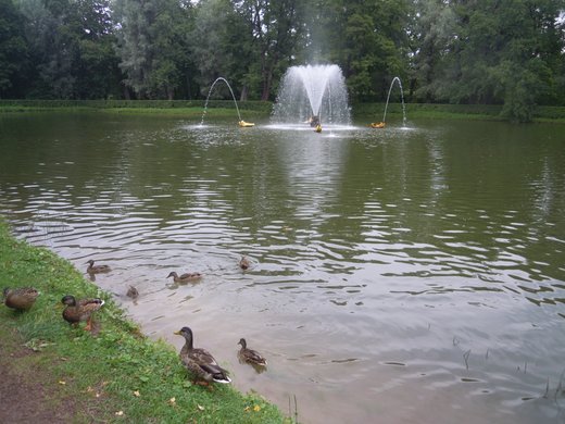 DSCN4556.JPG