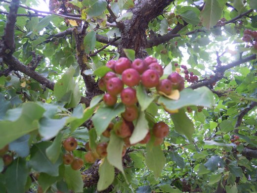 DSCN4567.JPG