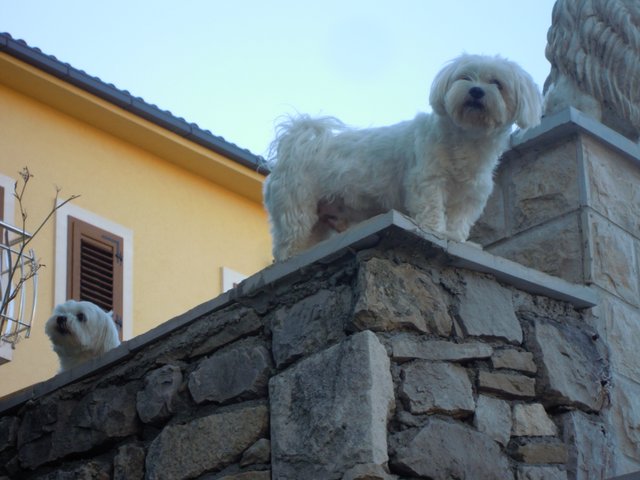 DSCN9285.JPG