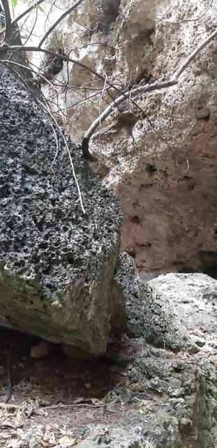 20190319_120022.jpg