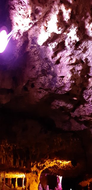 20190319_120432.jpg