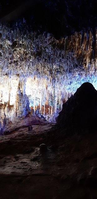 20190319_120705.jpg