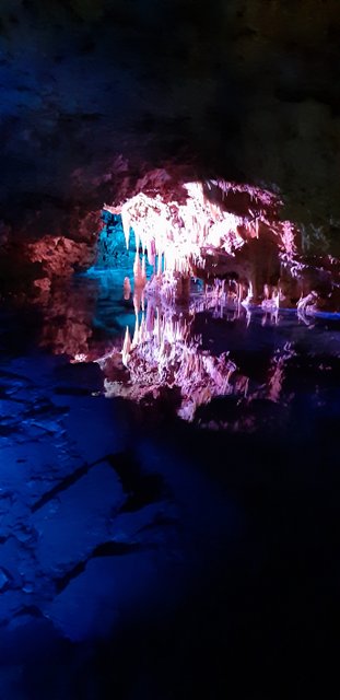 20190319_122112.jpg