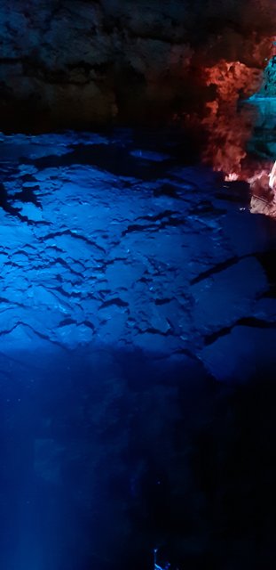 20190319_122136.jpg