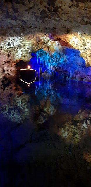 20190319_122444.jpg