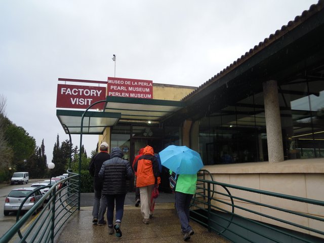 DSCN7255.jpg