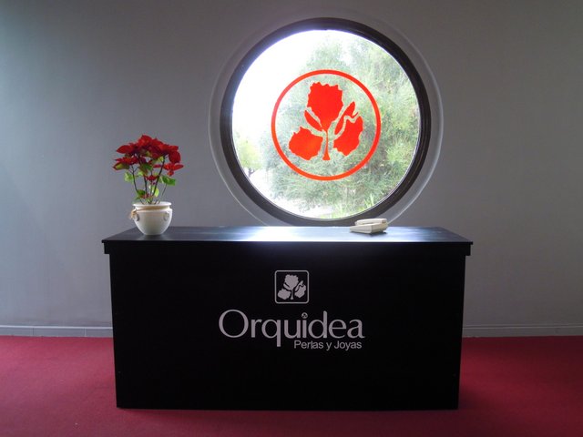 DSCN7258.jpg