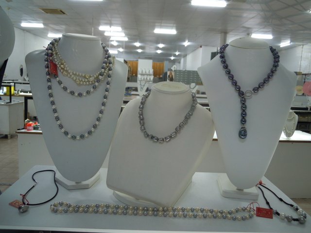 DSCN7260.jpg