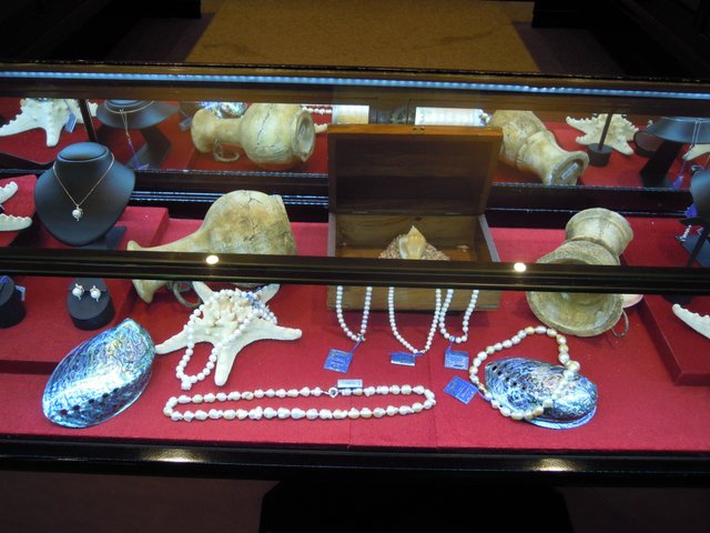 DSCN7263.jpg
