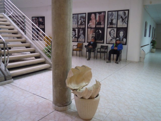 DSCN7264.jpg