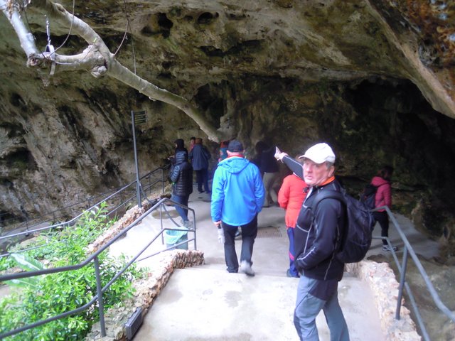 DSCN7266.jpg