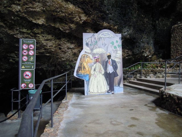 DSCN7268.jpg