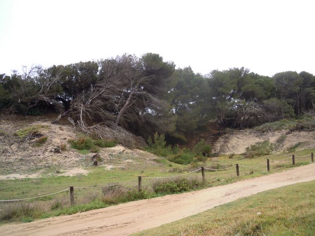 DSCN7272.jpg