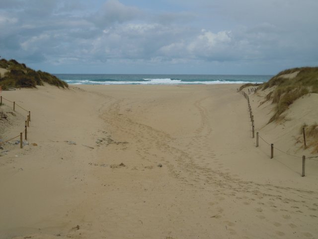 DSCN7274.jpg