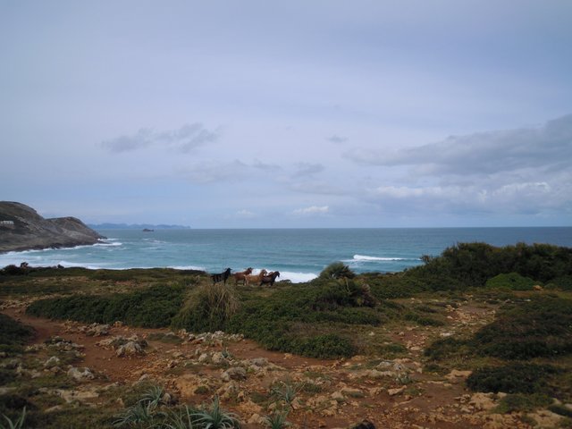 DSCN7277.jpg
