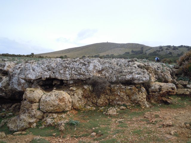 DSCN7278.jpg