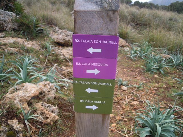 DSCN7279.jpg
