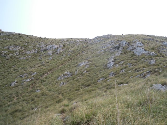 DSCN7280.jpg