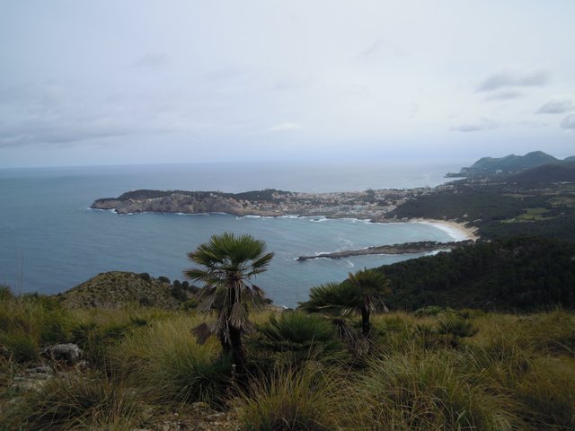 DSCN7282.jpg