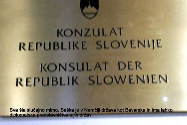 P1040920.JPG