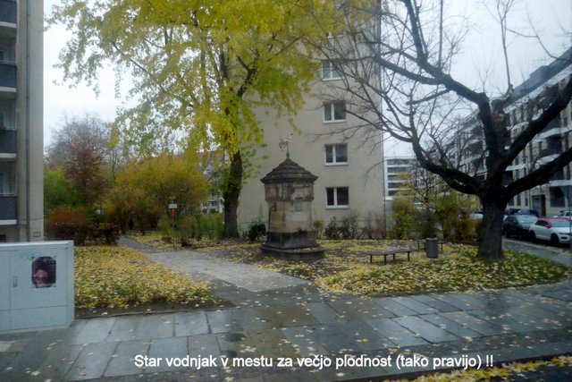 P1050059.JPG