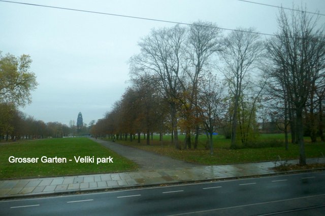 P1050067.JPG