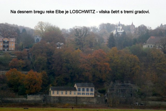P1050074.JPG